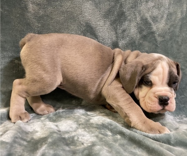 Medium Photo #15  Breeder Profile in CHETEK, WI, USA