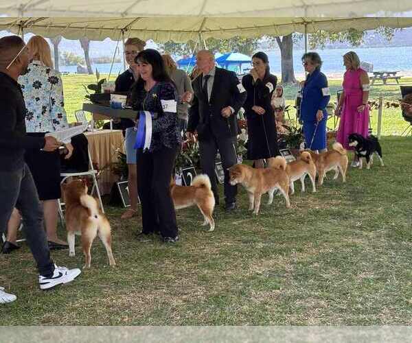 Medium Photo #23  Breeder Profile in THOMASTON, GA, USA