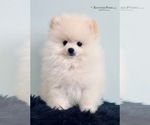 Small #13 Breeder Profile image