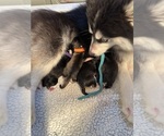 Small #5 Breeder Profile image