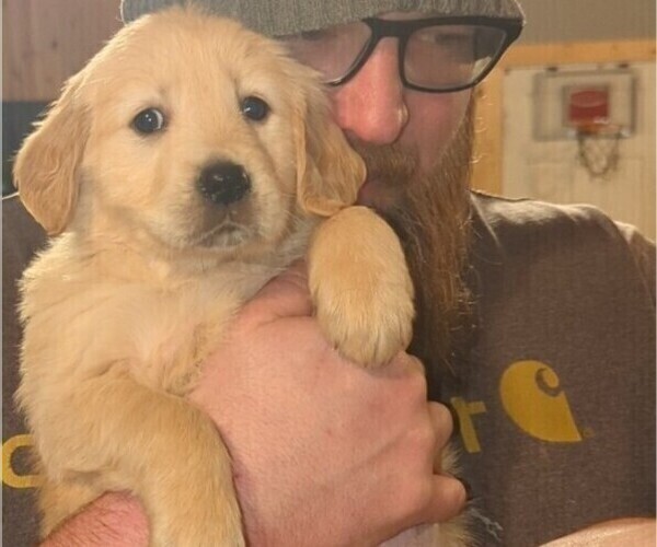 Medium Photo #7  Breeder Profile in MILACA, MN, USA