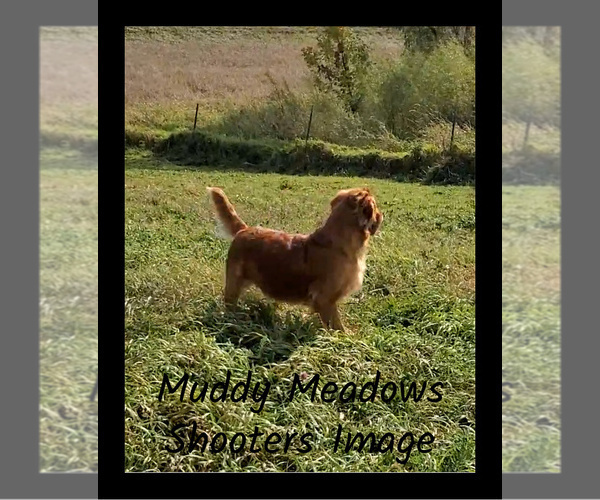 Medium Photo #11  Breeder Profile in KIMBALL, MN, USA