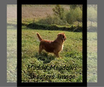 Small #10 Breeder Profile image