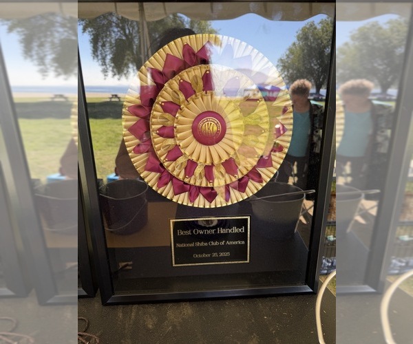 Medium Photo #32  Breeder Profile in THOMASTON, GA, USA