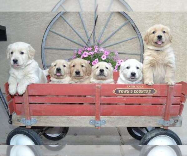 Medium Photo #1  Breeder Profile in FLORENCE, CO, USA