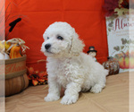 Small #59 Breeder Profile image