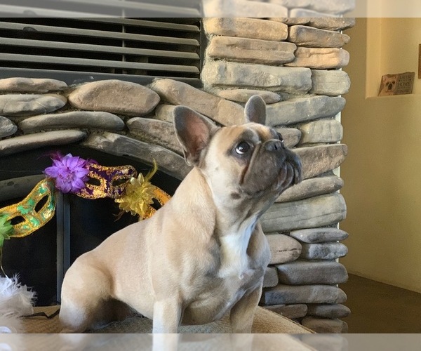 Medium Photo #3  Breeder Profile in PASO ROBLES, CA, USA