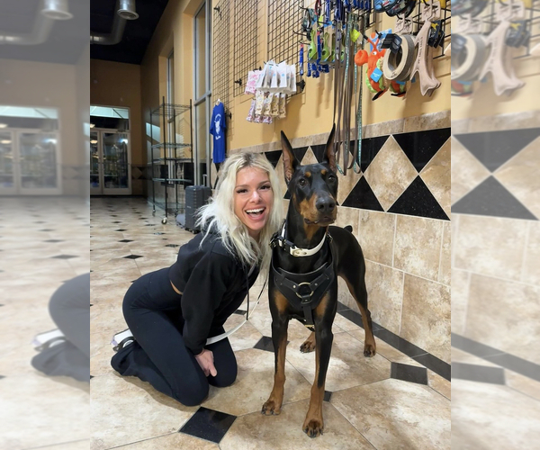 Medium Photo #6  Breeder Profile in NICHOLASVILLE, KY, USA