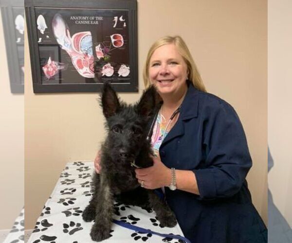 Medium Photo #6  Breeder Profile in S CHARLESTON, WV, USA