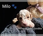 Small #122 Breeder Profile image