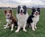 Small breeder photo
