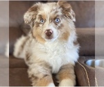 Small Photo #8  Breeder Profile in SANDY VALLEY, NV, USA