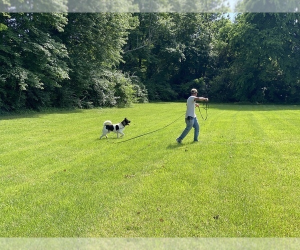 Medium Photo #6  Breeder Profile in LOUISVILLE, KY, USA