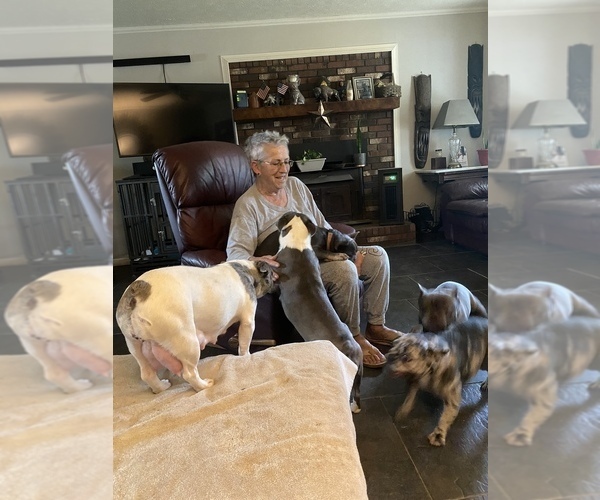 Medium Photo #2  Breeder Profile in GRIFFIN, GA, USA
