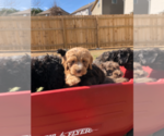 Small #4 Breeder Profile image