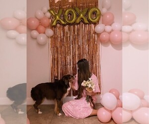 Miniature Australian Shepherd Dog Breeder near NORTH RICHLAND HILLS, TX, USA