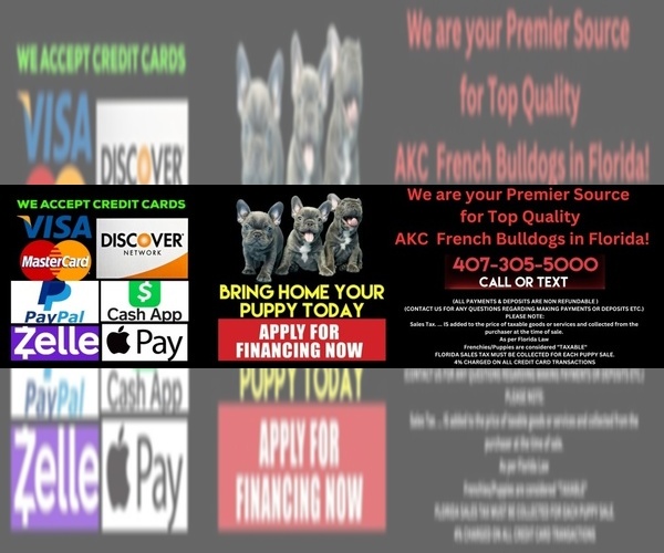 Medium Photo #4  Breeder Profile in ORLANDO, FL, USA