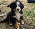 Small #18 Breeder Profile image