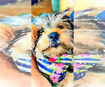 Small #11 Breeder Profile image