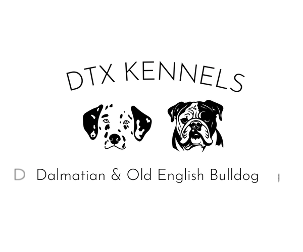 Medium Photo #1  Breeder Profile in WYLIE, TX, USA
