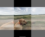 Small #6 Breeder Profile image
