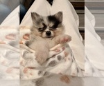 Small #7 Breeder Profile image