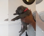 Small #3 Breeder Profile image