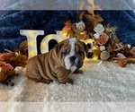 Small #6 Breeder Profile image