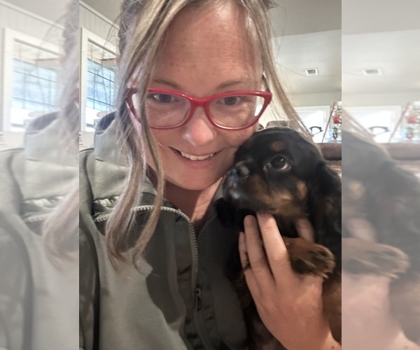 Medium Photo #39  Breeder Profile in WAXAHACHIE, TX, USA