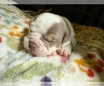 Small #19 Breeder Profile image