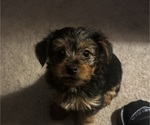 Small #2 Breeder Profile image