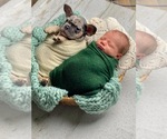 Small #6 Breeder Profile image