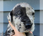 Small #3 Breeder Profile image