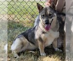 Small #10 Breeder Profile image