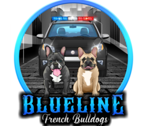 French Bulldog Dog Breeder in EASTVALE,  USA
