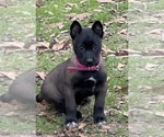 Small #14 Breeder Profile image