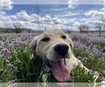 Small #3 Breeder Profile image