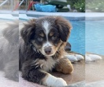 Small #14 Breeder Profile image