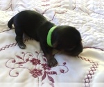 Small #7 Breeder Profile image
