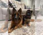 Small #3 Breeder Profile image