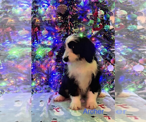 Medium Photo #1  Breeder Profile in KINGSPORT, TN, USA