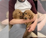 Small #20 Breeder Profile image