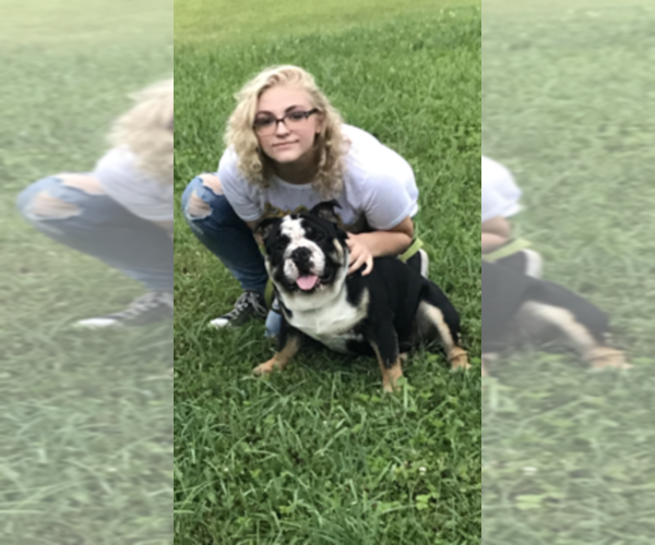 Medium Photo #1  Breeder Profile in ALBRIGHT, WV, USA