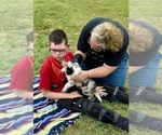 Small #20 Breeder Profile image
