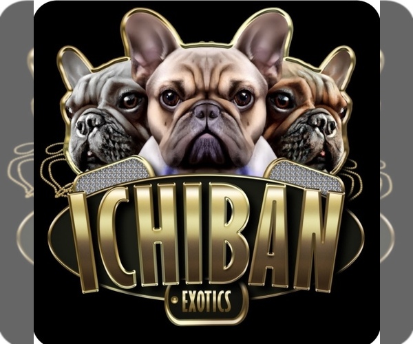 Medium Photo #1  Breeder Profile in RALEIGH, NC, USA