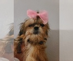Small #14 Breeder Profile image