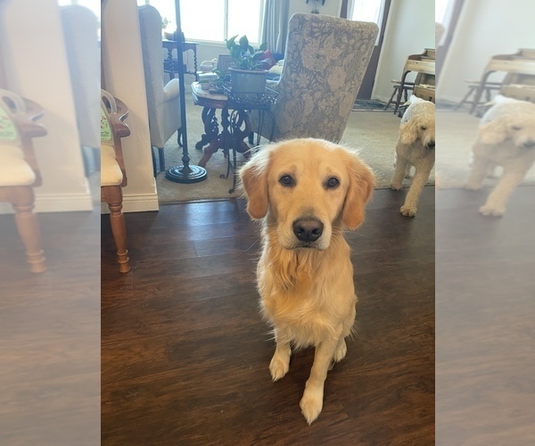 Medium Photo #9  Breeder Profile in PEYTON, CO, USA