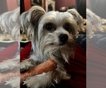 Small #14 Breeder Profile image