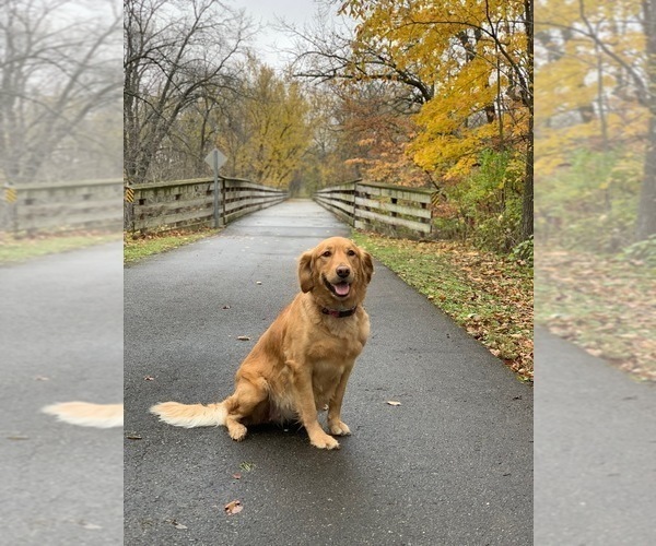 Medium Photo #6  Breeder Profile in LE ROY, MN, USA