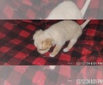 Small #355 Breeder Profile image